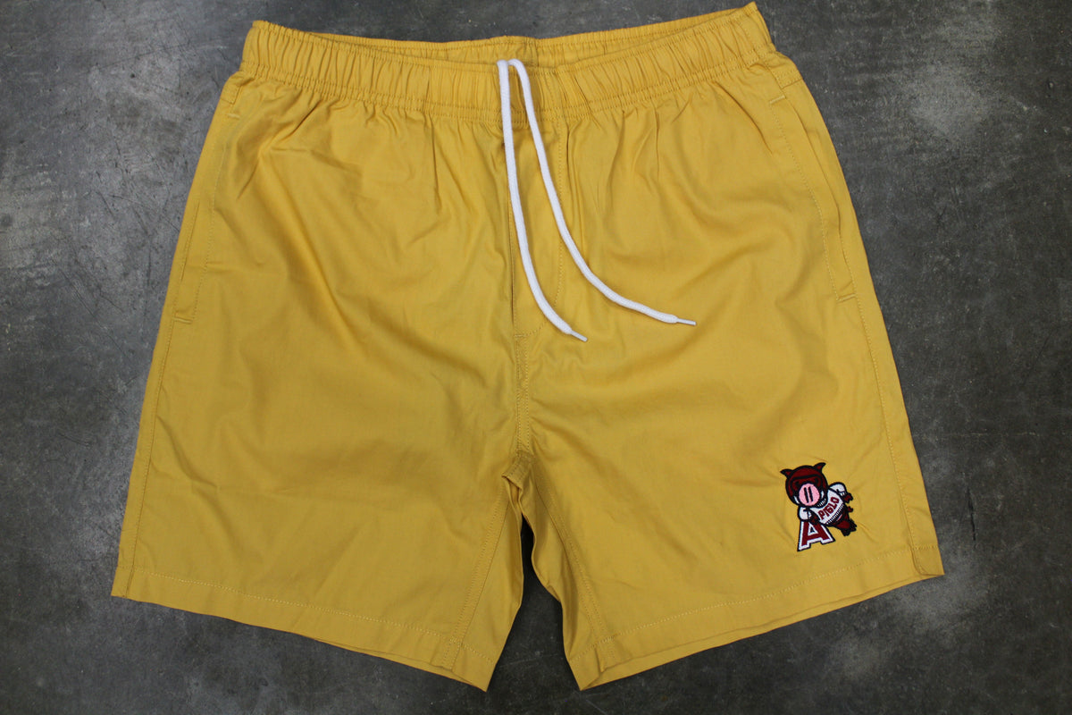 Piglo Beach Shorts